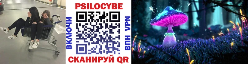 Псилоцибиновые грибы Psilocybine cubensis  где можно купить   Рошаль 